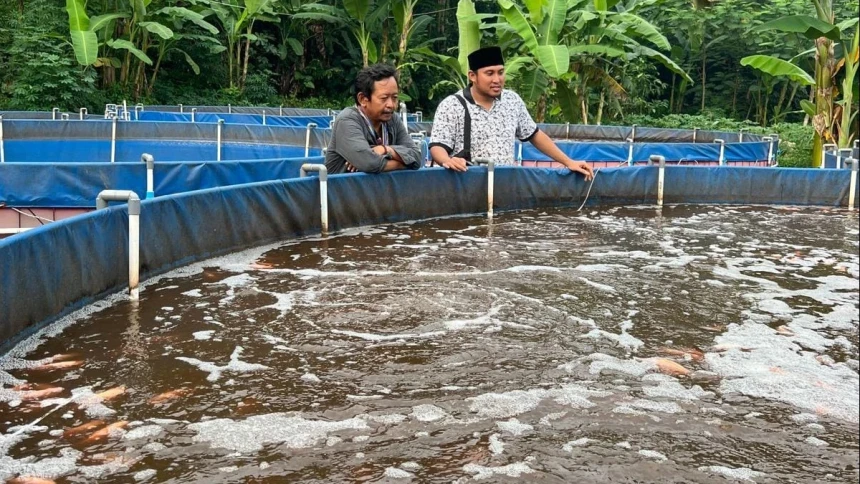 Panen 6 Ton Ikan Nila Merah, Warga NU Ini Ajak Anggota Banom NU Pasarkan Hasilnya