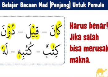 15 Hukum Bacaan Mad dalam Tajwid Beserta Contohnya