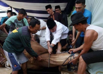 Batas Waktu menyembelih Hewan Kurban pada Hari Raya Iduladha