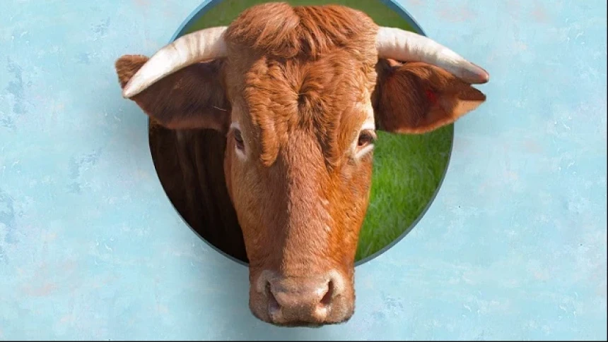 Berkurban untuk Menyembelih Sifat Buas Manusia