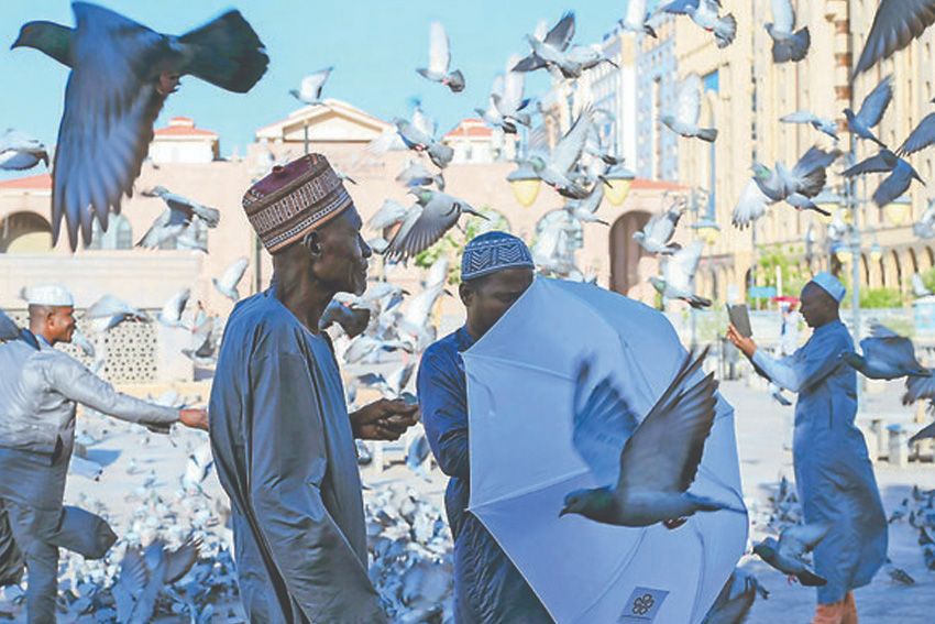 Burung di Masjidilharam, Sejarawan Bilang Keturunan Merpati dari Gua Tsur