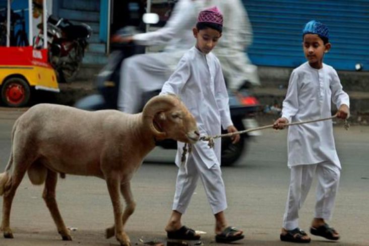 Doa Ketika Menggiring Hewan Kurban ke Tempat Sembelihan