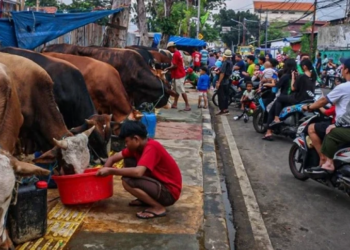 Fenomena Jelang Idul Adha: Jualan Hewan Kurban di Trotoar Jadi Tontonan Warga