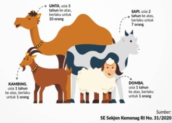 Hewan yang Sah untuk Kurban Idul Adha, Ini Ketentuannya