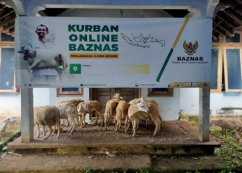 Hukum Kurban Online, Apakah Sah? Simak Ulasannya Supaya Lebih Paham