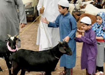 Hukum Kurban: Rasulullah SAW Menyembelih 2 Ekor Domba Jantan