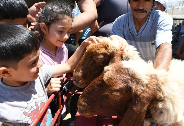 Mengenal Hari Kurban di Turki, Mirip Lebaran di Indonesia