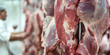 Tips Mengolah Daging Kambing agar Empuk dan Tak Bau Prengus