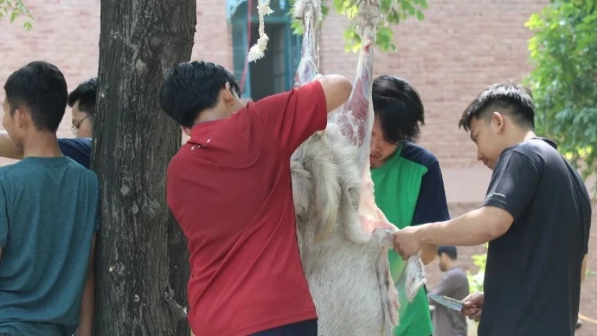 Di Pakistan, Program Kurban LAZISNU Bersinergi dengan PPMII