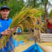 Melihat Panen Padi Organik Petani NU di Banyumas Jawa Tengah | NU Online