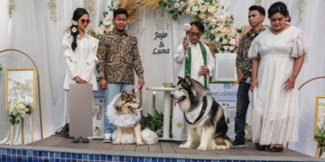 Pesta Mewah Pernikahan Anjing dan Fenomena Aneh di Akhir Zaman