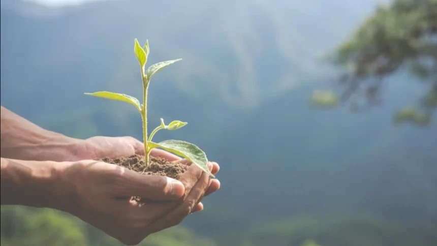 Tahun Baru 1445 H, Momentum Hijrah Menuju Lingkungan Hidup Berkualitas | NU Online