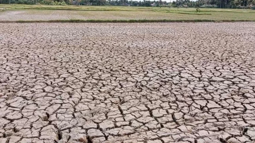 8 Tahap, 243,5 Ribu Liter Air Bersih Disalurkan LAZISNU Cilacap Bantu Warga Terdampak Kekeringan | NU Online