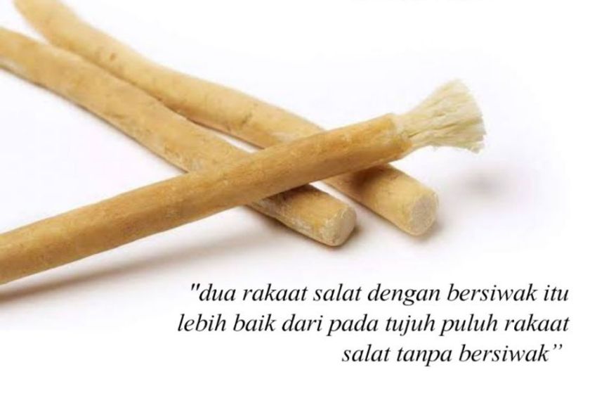 Mengapa Umat Islam Dianjurkan Bersiwak Ternyata Ini Alasannya