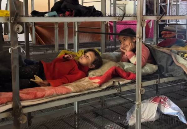 Kisah Pengungsi Gaza: Kandang Ayam Jadi Tempat Tidur untuk Anak-Anak Mereka