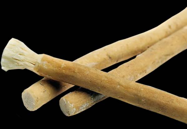 Siwak: Salah Satunya Menghilangkan Bau Mulut saat Berpuasa sampai Menjernihkan Suara