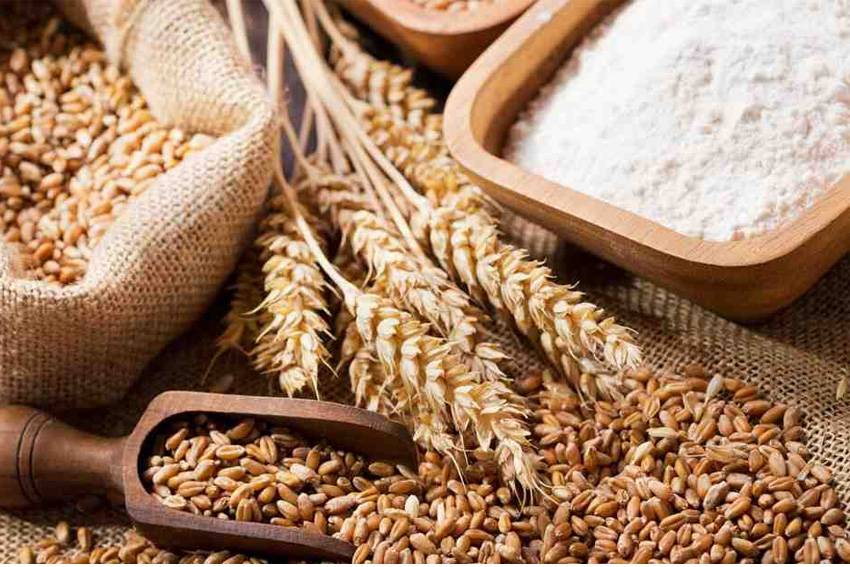 Zakat Fitrah Hanya Diberikan kepada Orang Miskin