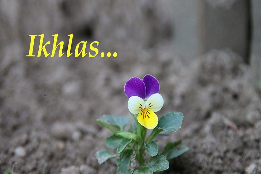 8 Faktor Pendorong Ikhlas dalam Beramal Saleh