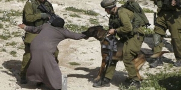 Anjing Militer Israel Dilatih Menyiksa dan Memperkosa Warga Palestina