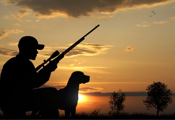 Halalkah Binatang yang Diburu dengan Peluru dan Senjata Api?