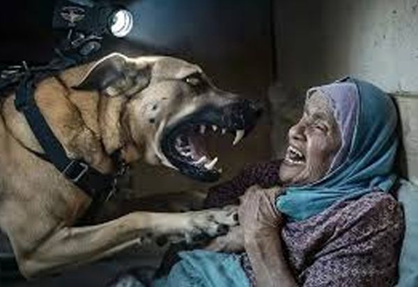 Kisah Warga Palestina Penderita Sindrom Down Dibunuh Anjing Militer Israel