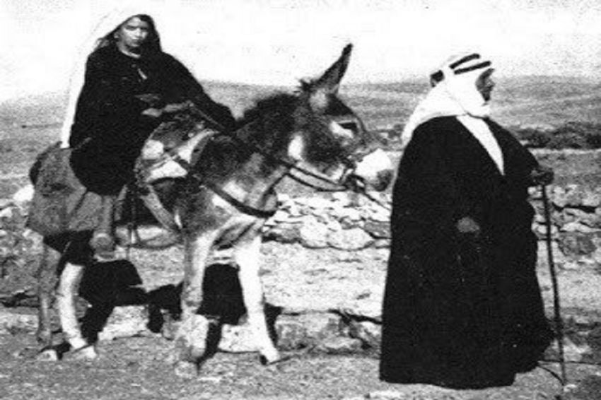 Kisah Luqman Al Hakim dan Putranya Dicaci Orang Gara-gara Seekor Keledai