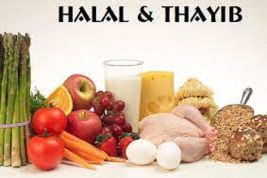 Makanan Sehat = Halal dan Toyyib, Begini Ciri-cirinya