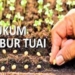 Hukum Tabur Tuai dalam Islam beserta Dalilnya