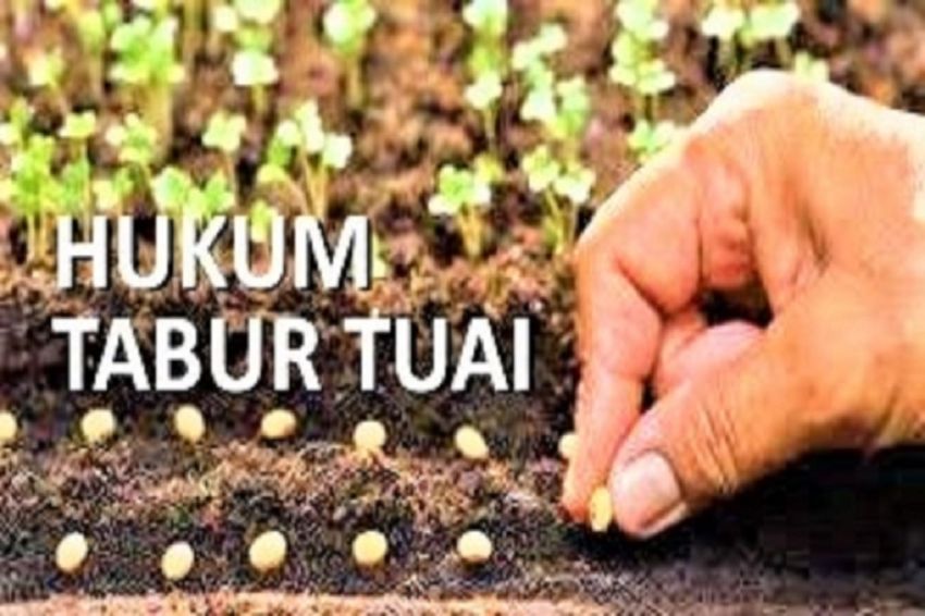 Hukum Tabur Tuai dalam Islam beserta Dalilnya