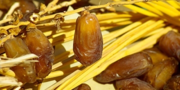 Kenapa Kurma dan Air Putih Dianjurkan Saat Buka Puasa? – Kisah Islam